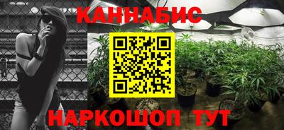 мдпв Жуковский