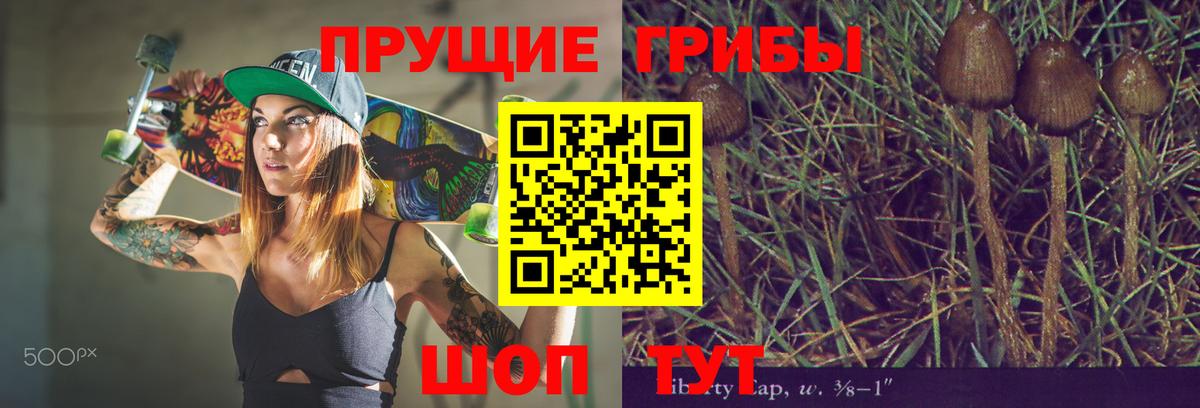 Псилоцибиновые грибы Psilocybine cubensis Можайск